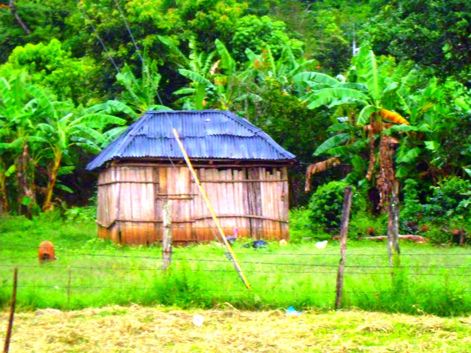 Casita