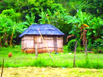 Casita