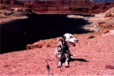Near Lake Powell
