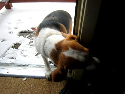 Do I Smell Food in Here?