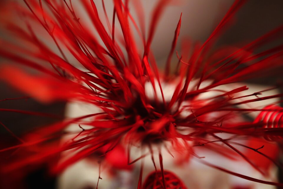 Texture bokeh close up