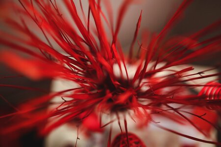 Texture bokeh close up