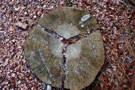 Fake Stump