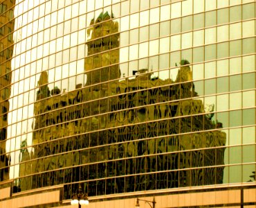 Golden Reflection