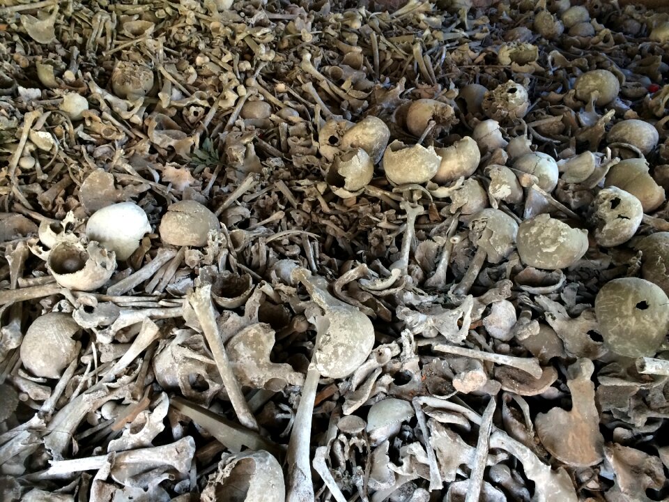 Weird skull and crossbones dead
