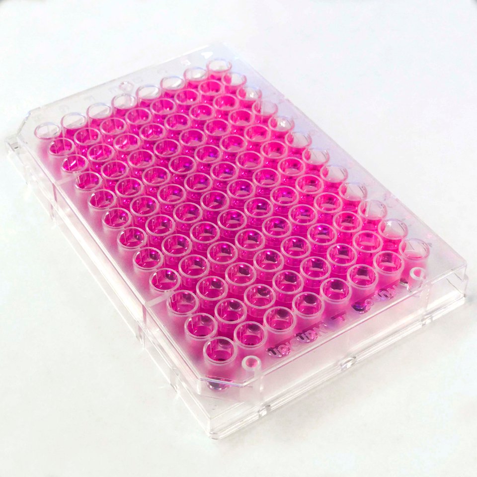 Amaranth Extracts in Well Plate