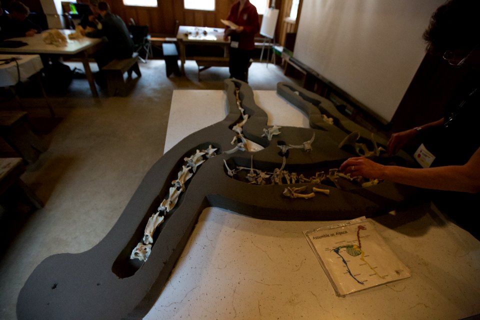 WASARCON 2015 - King County, Washington.