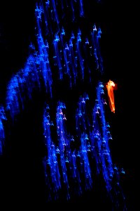 More Painting With Light Experiments