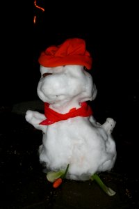 Desert Snowman Hanging in There