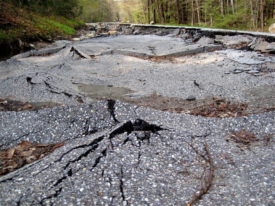 The Road Ahead is Bumpy
