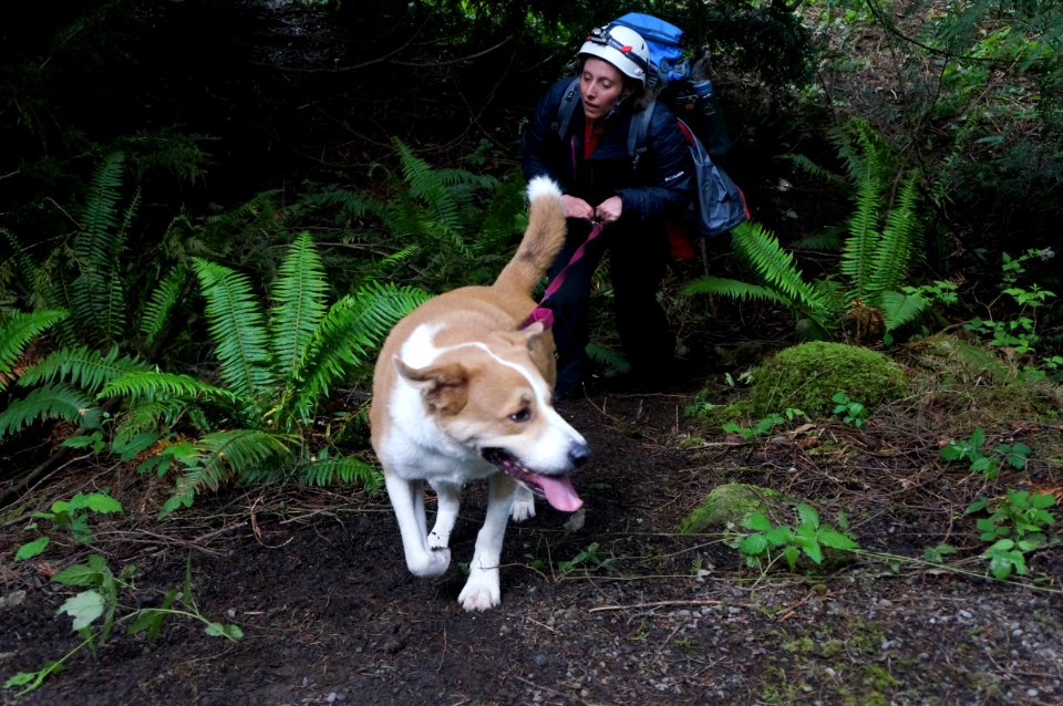 WASARCON 2015 - King County, Washington.