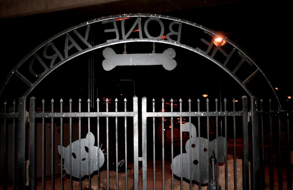 The Bone Yard
