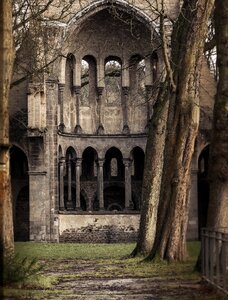 Bonn königswinter germany monastery ruins