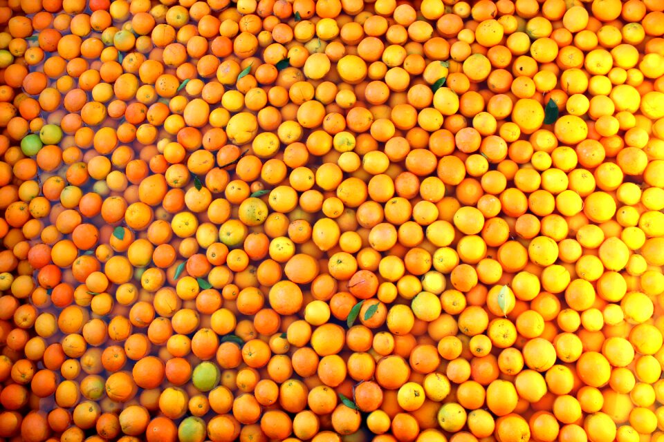 Food healthy citrus
