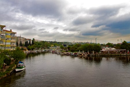 The Harbor