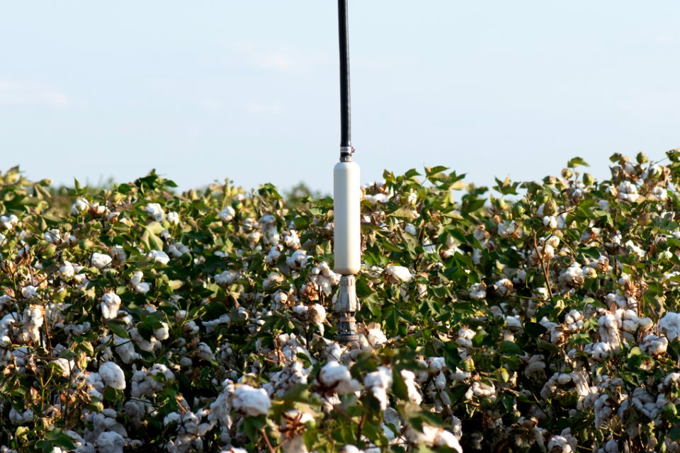 20200823-NRCS-LSC-0926