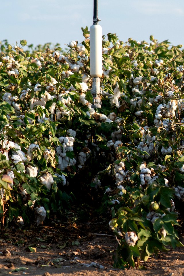 20200823-NRCS-LSC-0921