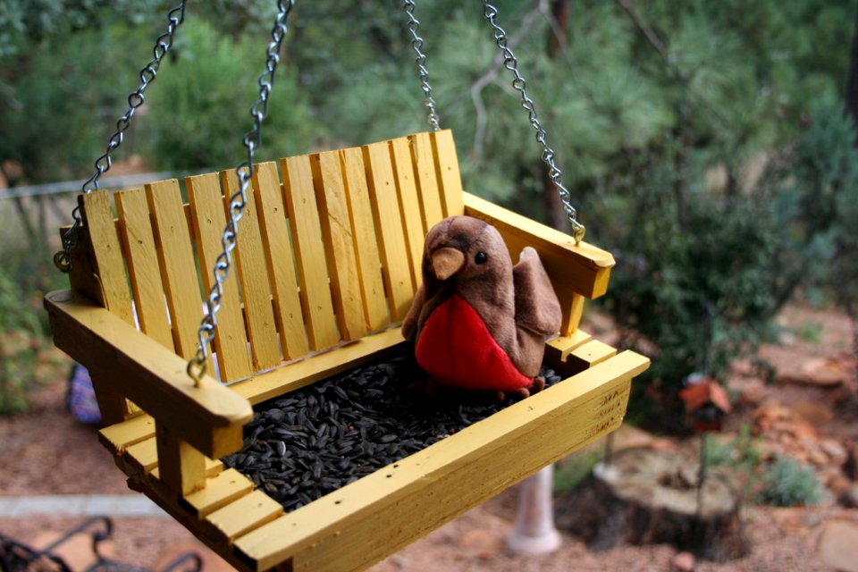 Yet Another New Bird Feeder
