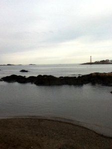 Shore View
