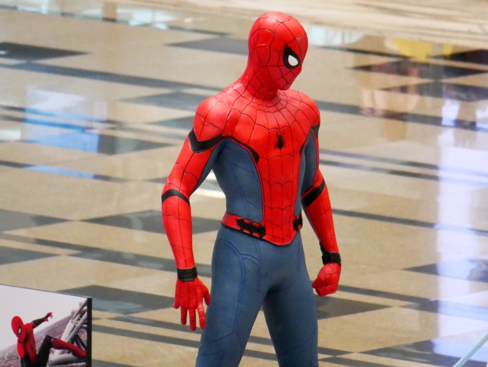 spidy in Singapore