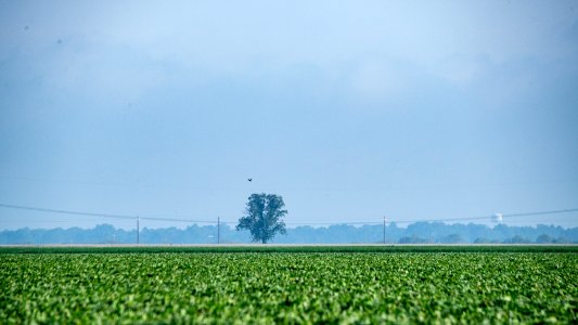 20190625-NRCS-LSC-0010