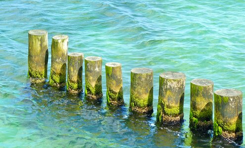 Breakwater polder wood
