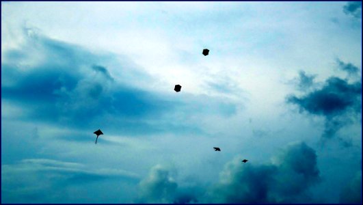 marina barrage - kite flying photo