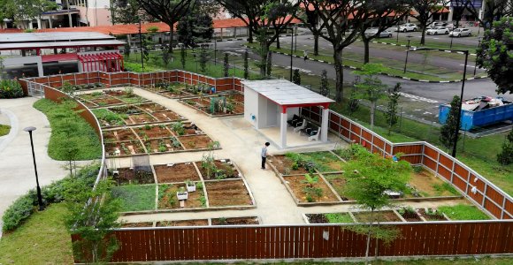 community garden - public can rent a few plots of land each for gardening photo