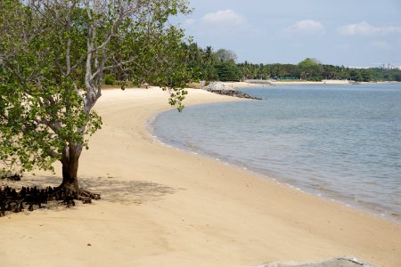 pasir ris park - nice beach
