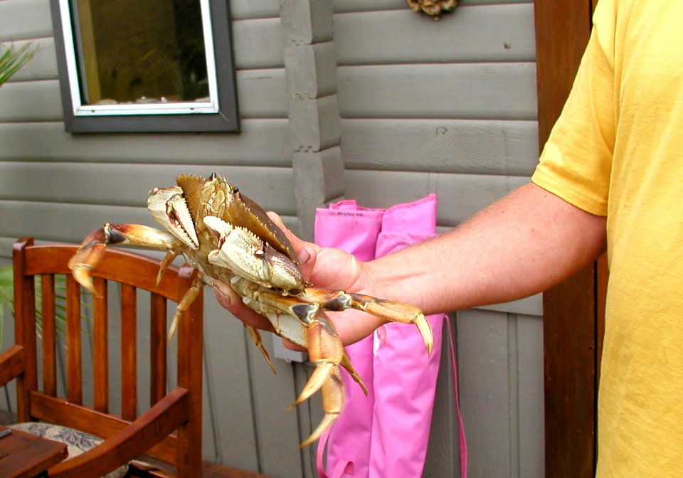 Canadian Crustacean