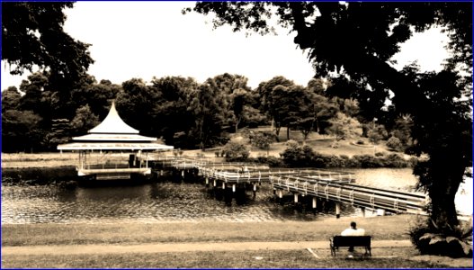 MacRitchie reservoir - the oldest reservoir in Singapore photo