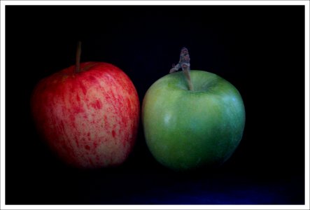 apples photo