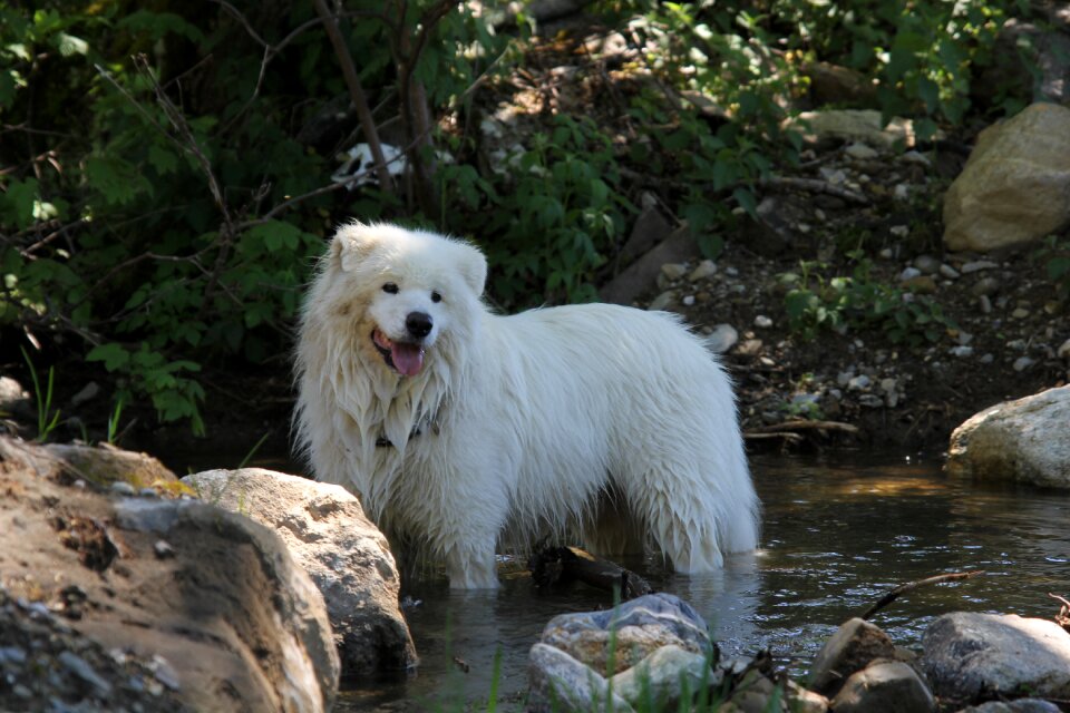 White in the river outdoores