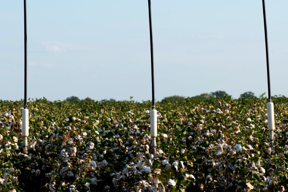 20200823-NRCS-LSC-0915