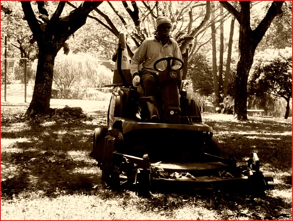 13Feb2019 - grass cutting
