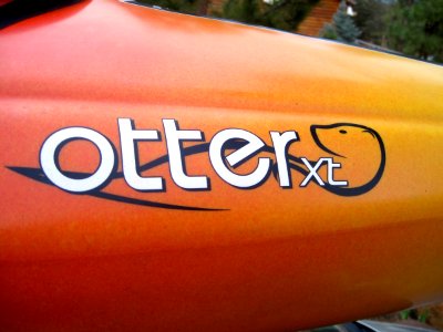 Got My Otter On