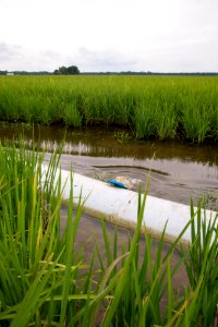20190625-NRCS-LSC-0636