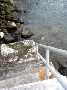 Steps