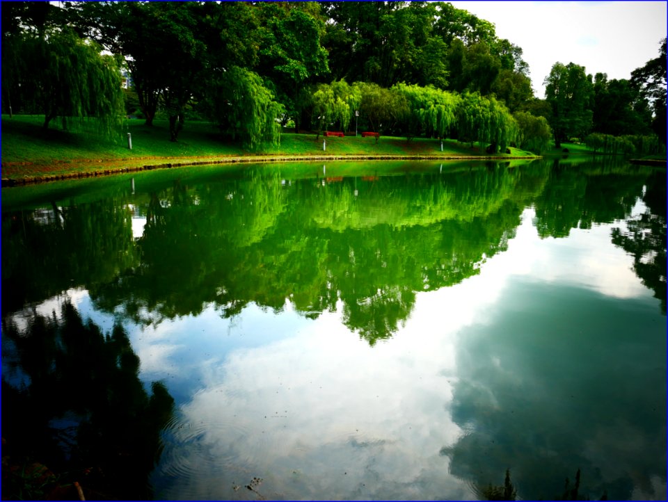 Bishan-AMK pond gardens photo