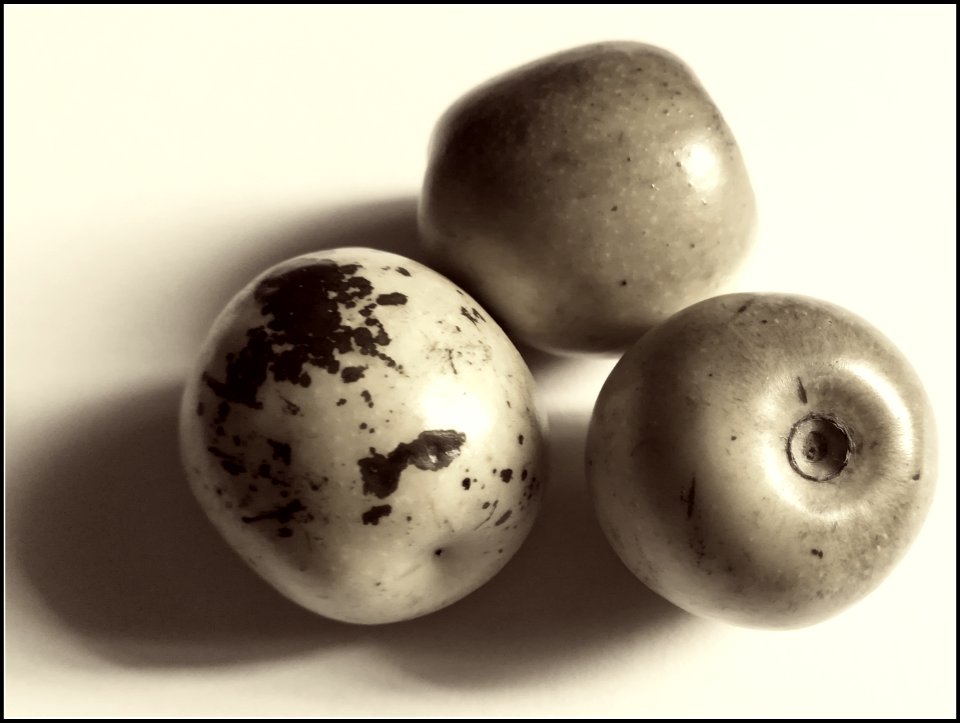 fresh dates