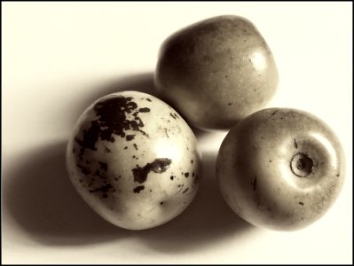 fresh dates