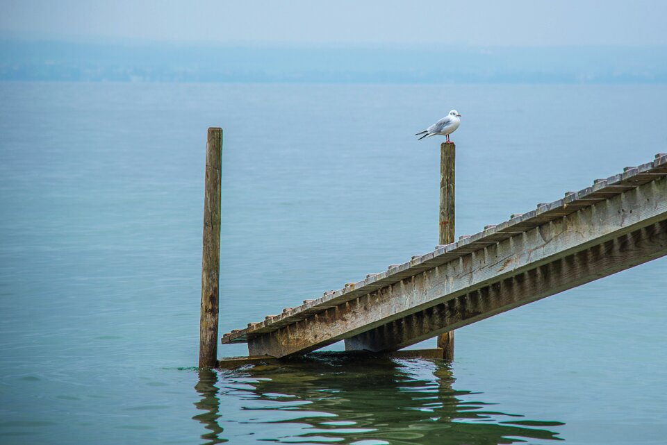 Water piles investors