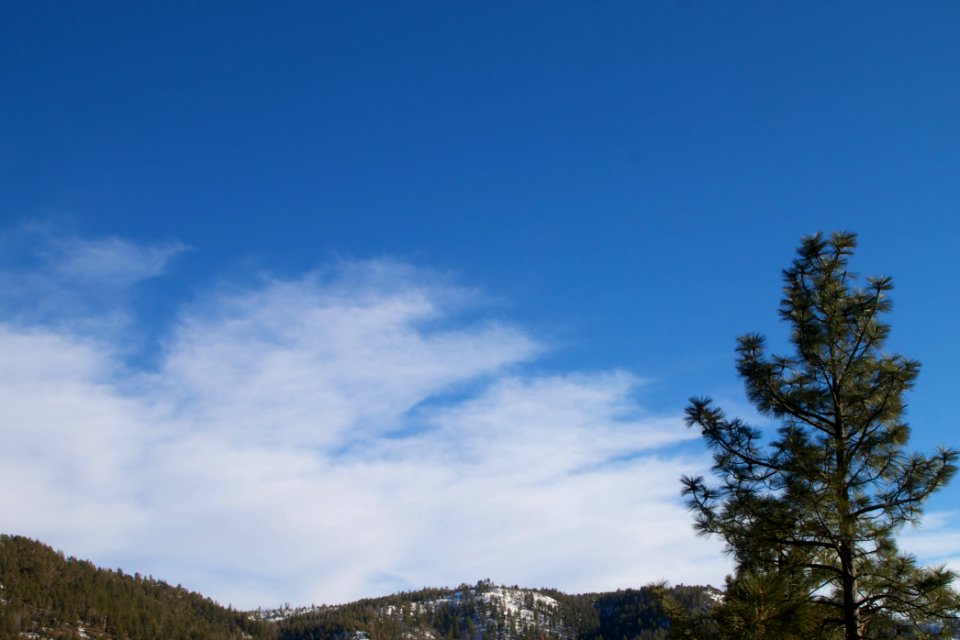Blue Sky Over Strawberry