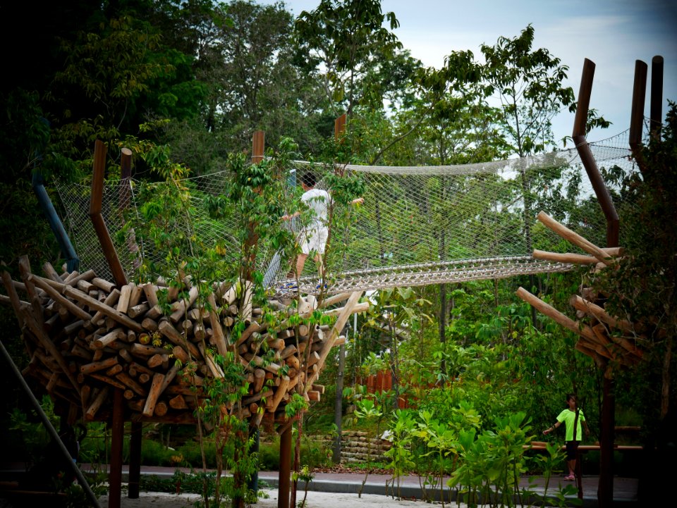 fun day @ redeveloped jurong lake gardens - net bridge photo