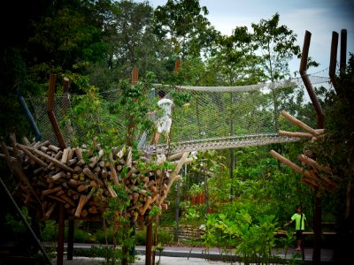 fun day @ redeveloped jurong lake gardens - net bridge