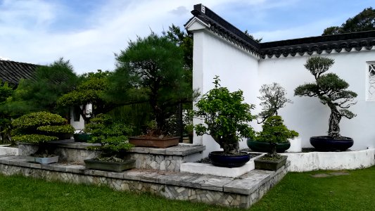 japanese garden - bonsai, small is beautiful