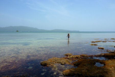 Looking for seashells