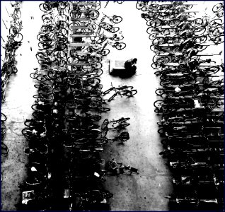 more bikes than parking space