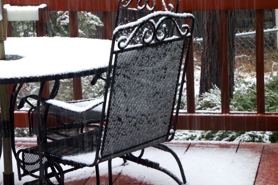 Snow in Motion