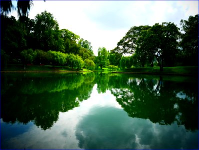 Bishan-AMK pond gardens photo